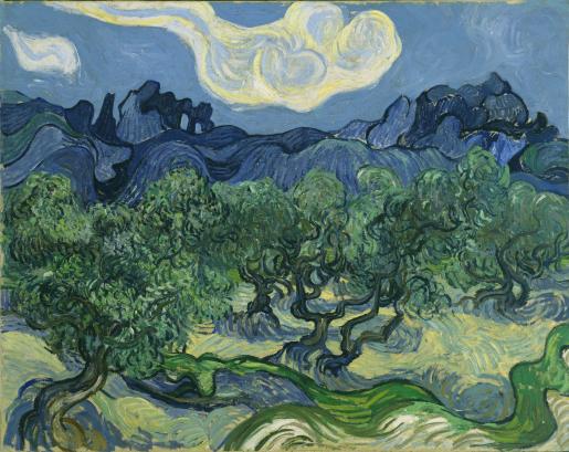 Vincent Van Gogh "The Olive Trees" (1889).
