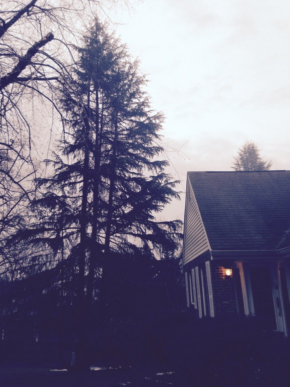 I am about to get into my car to go to work and I turn back to look at the house.